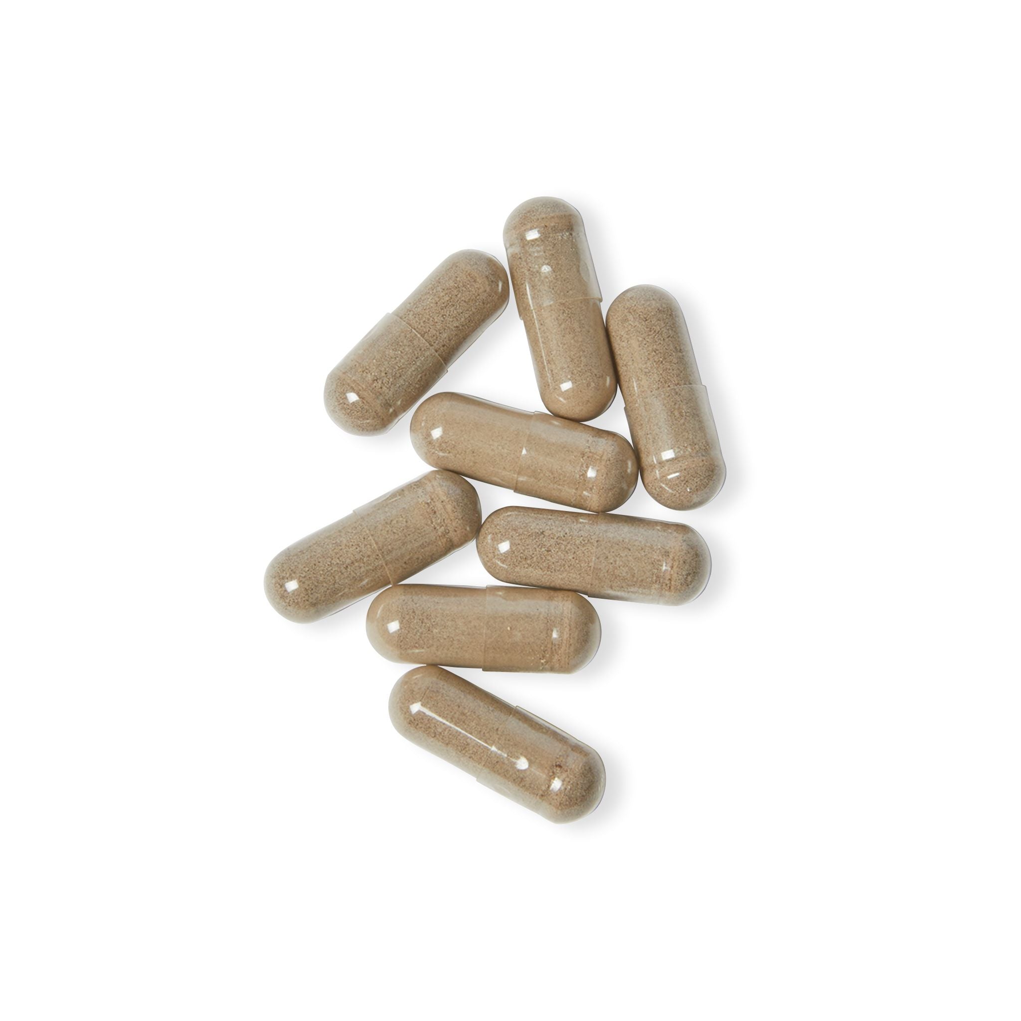 Sea Moss Premium Advanced Supplement