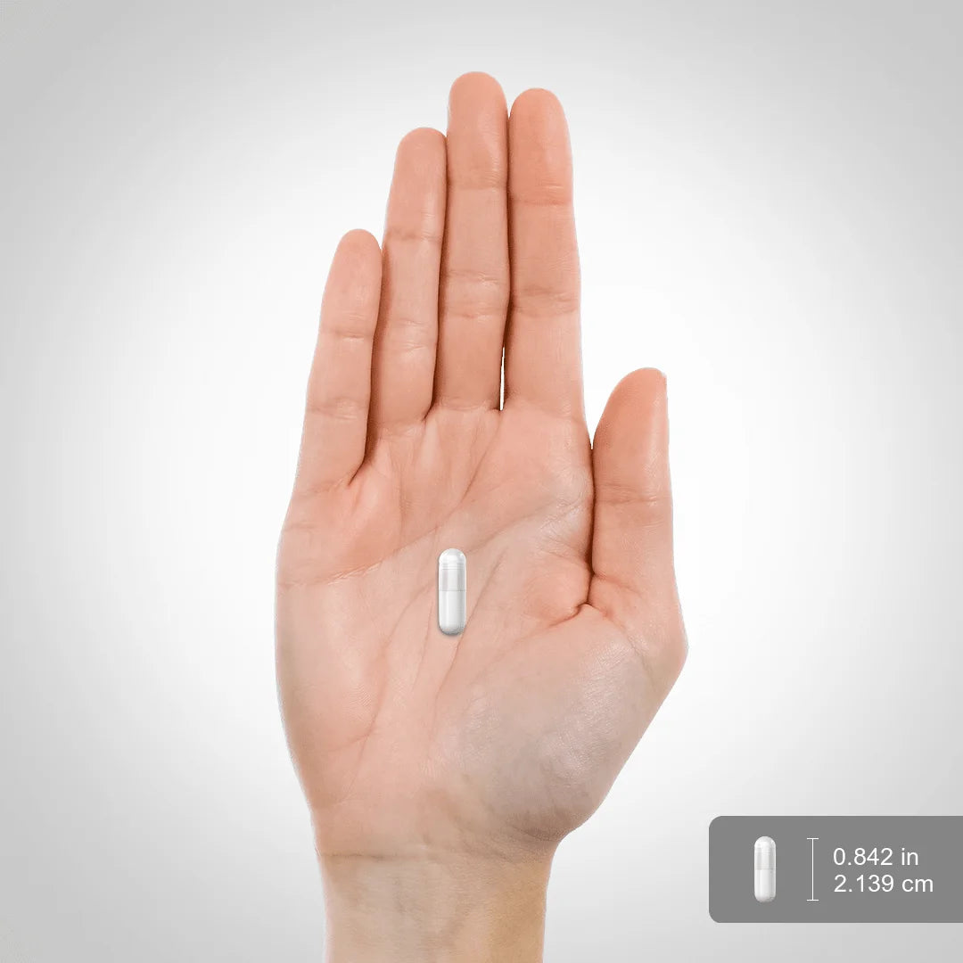 Boswellia Extract | 800Mg | 150 Capsules | with Boswellic Acid | by