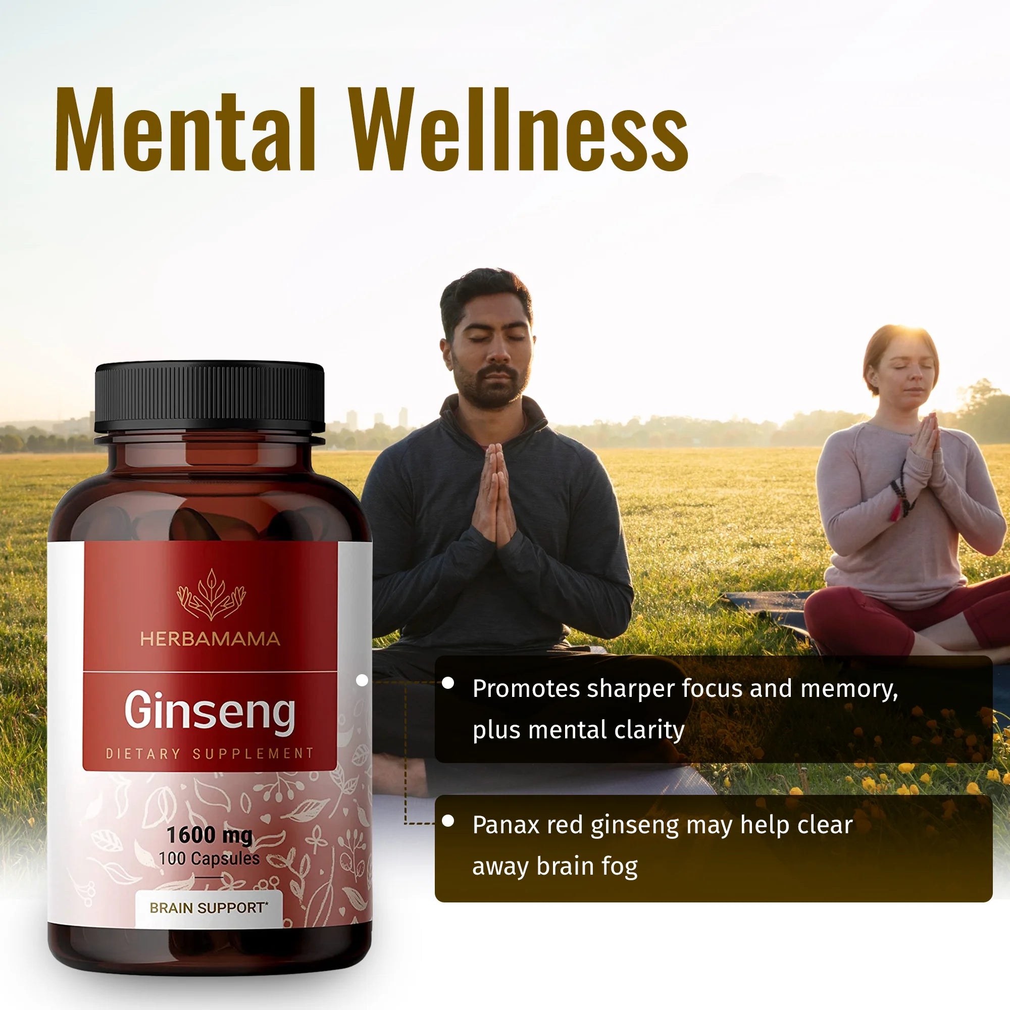 Red Ginseng Capsules - Korean Panax Extract - Energy & Brain Support, 100 Capsules