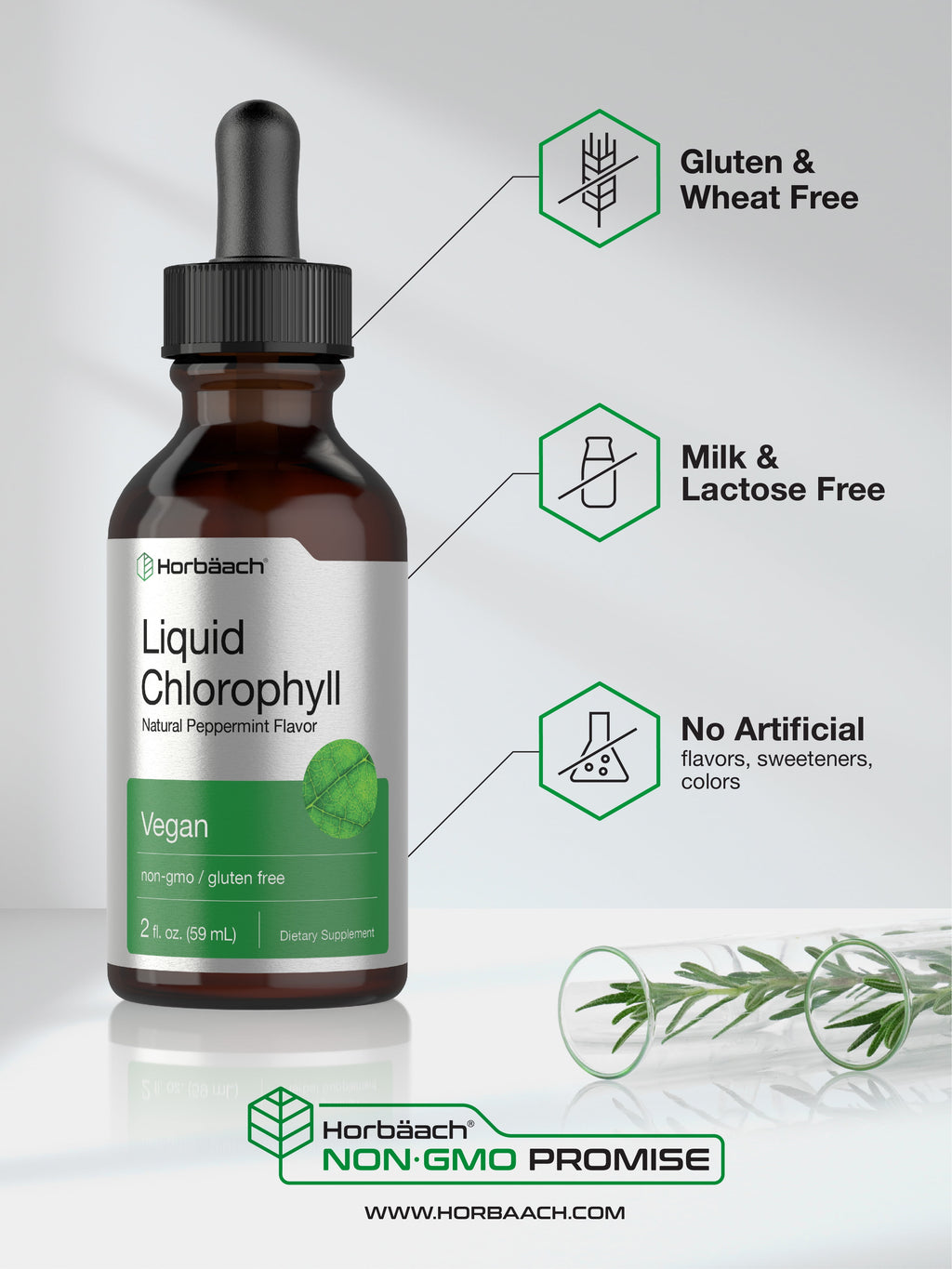 Liquid Chlorophyll | 2 Oz | Natural Peppermint Flavor | by