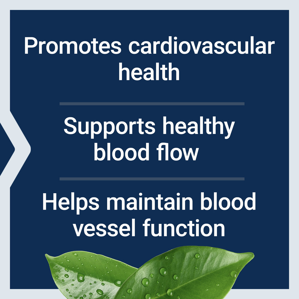 Potassium with Extend-Release Magnesium – Heart Health Supplement for Blood Pressure Support with Two Essential Minerals – Non-Gmo, Vegetarian, Gluten-Free – 60 Capsules